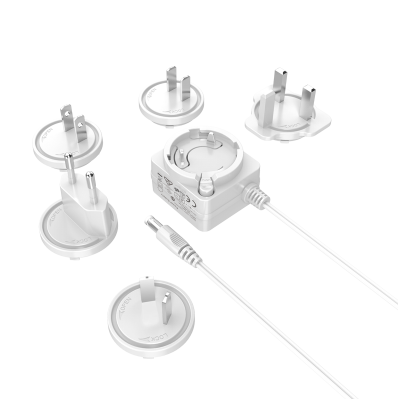6W Interchangeable Power Adapter