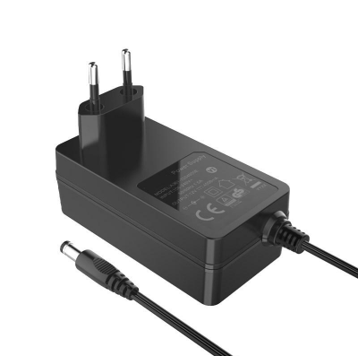 48W Wall-Mount Power Adapter EU Plug
